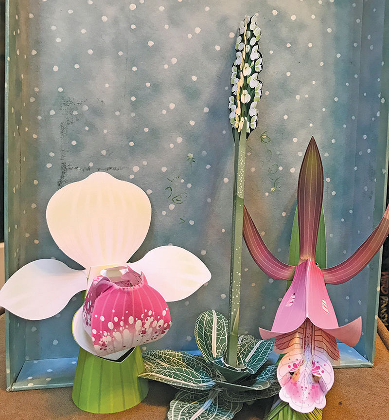 Chesapeake corsages